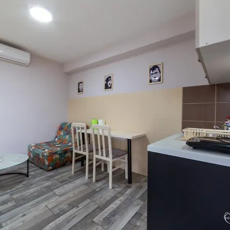 Nina S Apartment Bajina Basta