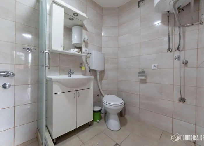 Nina S 바이나 바슈타